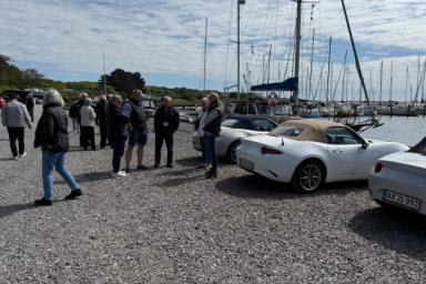 IMG_5446.jpeg IMG_5446.jpeg